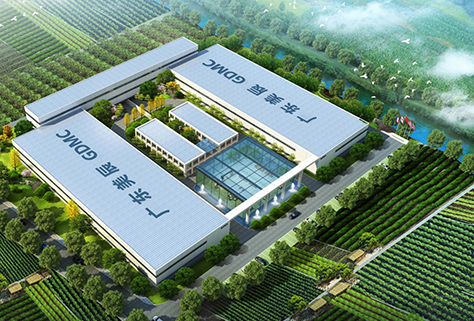 专注红心火龙果全产业链